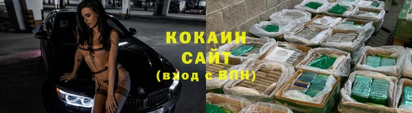 спиды Алексин