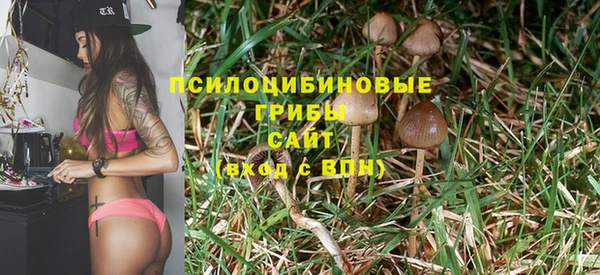 ПСИЛОЦИБИНОВЫЕ ГРИБЫ Алзамай