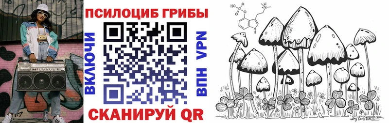 купить  цена  Макушино  Псилоцибиновые грибы MAGIC MUSHROOMS 